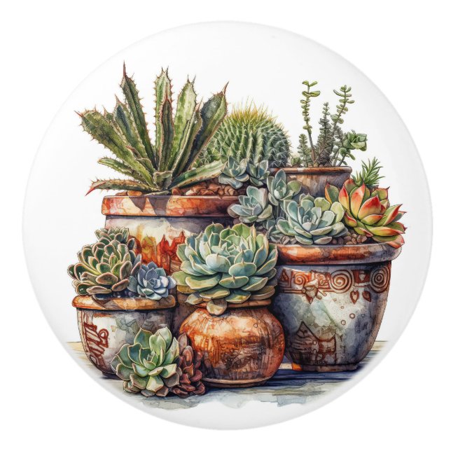 Pomo De Cerámica Cactus y Suculentos (Anverso)