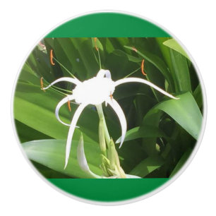 Pomo De Cerámica Cahaba Lilly florece en los pechos de cerámica
