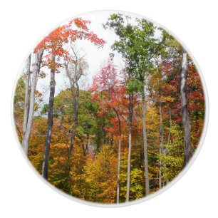 Pomo De Cerámica Caída en la colorida fotografía de otoño en el bos