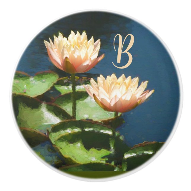 Pomo De Cerámica Cajón Monograma De Flora Azul Rosa Rosa Con Encant (Anverso)