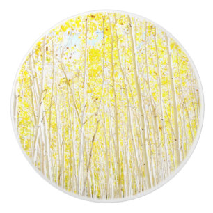 Pomo De Cerámica Cake Aspen