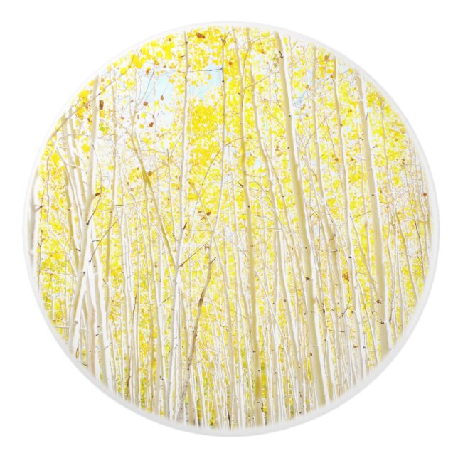 Pomo De Cerámica Cake Aspen (Anverso)