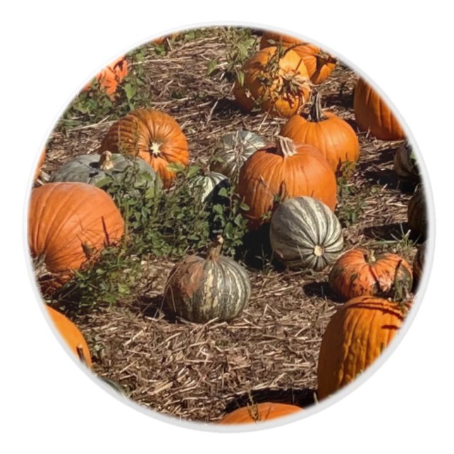 Pomo De Cerámica Calabazas (Anverso)