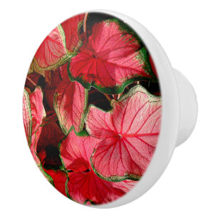 POMO DE CERÁMICA CALADIO/ HOJAS DE ONDA/COLORES ROJOS, VERDES Y ROJ
