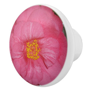 Pomo De Cerámica Camellia Rosa Caliente Creciendo En Un Árbol,