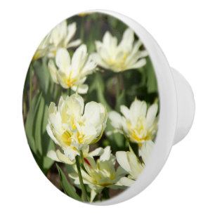 Pomo De Cerámica Campo de tulipanes blancos Foto