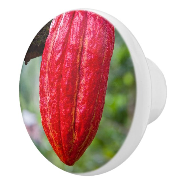 Pomo De Cerámica caña de cacao (Derecha)
