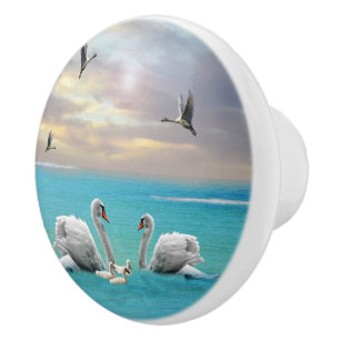 Pomo De Cerámica Canción Del Cisne Blanco,