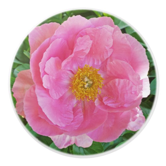 POMO DE CERÁMICA CANDY-PINK PEONY (Anverso)