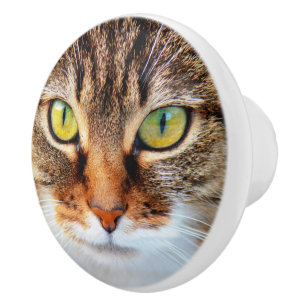 Pomo De Cerámica Cara de gato