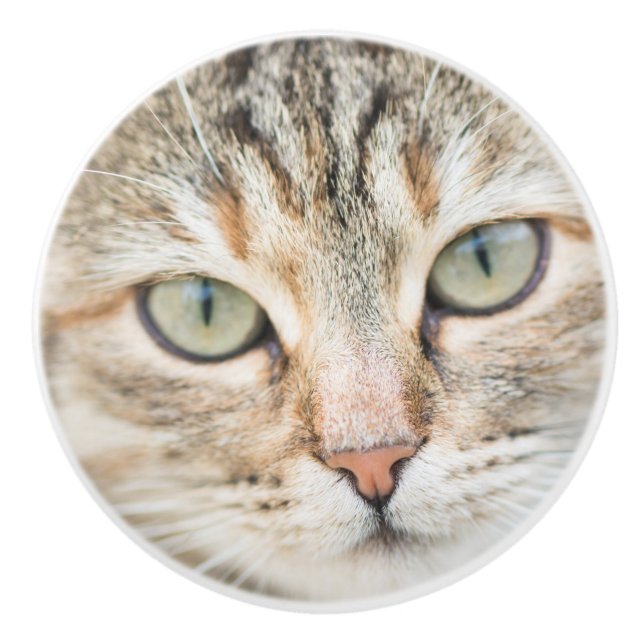 Pomo De Cerámica Cara de gato (Anverso)