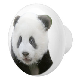 Pomo De Cerámica Cara de la panda