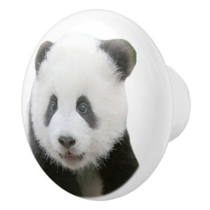 Pomo De Cerámica Cara de la panda