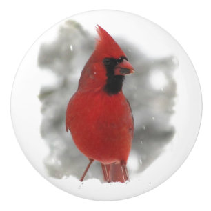 Pomo De Cerámica Cardenal en botón de cerámica de la nieve