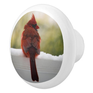 Pomo De Cerámica Cardenal en nieve