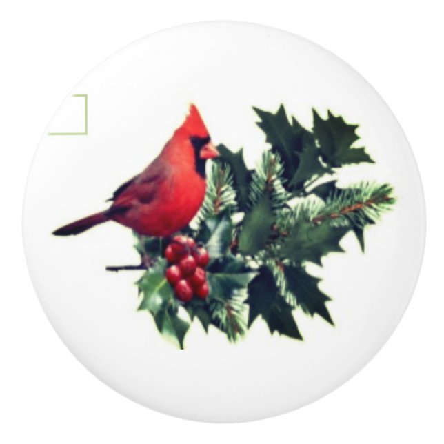 Pomo De Cerámica Cardenal sobre la extracción cerámica de Holly (Anverso)