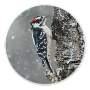 Pomo De Cerámica Carpintero lechoso en nieve - Fotografía original