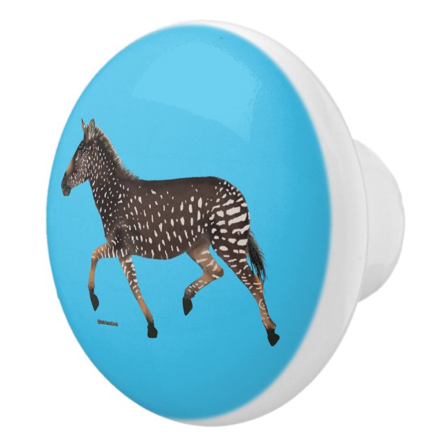 Pomo De Cerámica Cebra de punto de polka (Derecha)