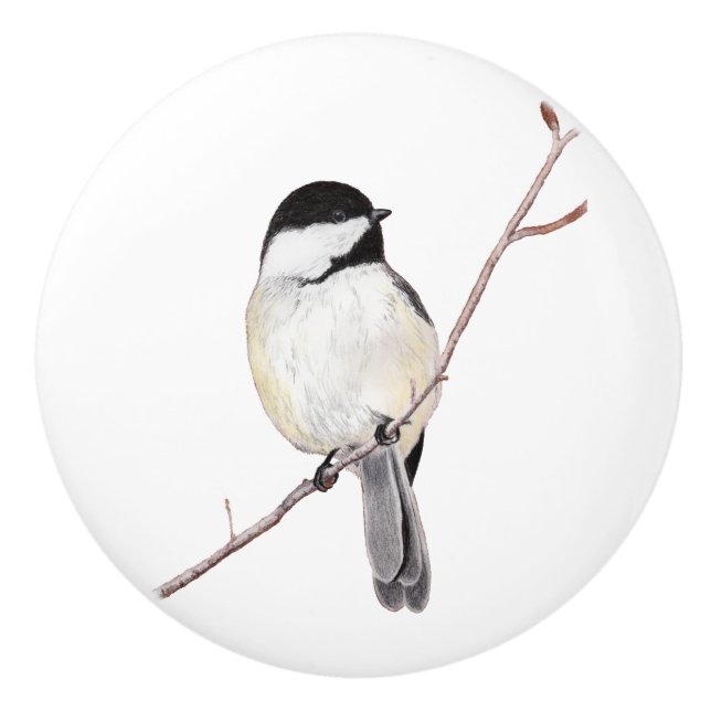 Pomo De Cerámica Chickadee (Anverso)
