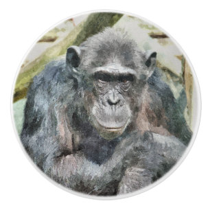 POMO DE CERÁMICA CHIMPANZEES