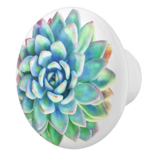 Pomo De Cerámica chuleta decorativa suculenta