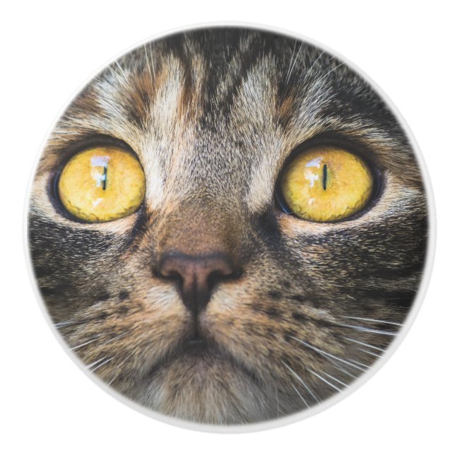 Pomo De Cerámica Cierre de gato con ojos amarillos (Anverso)