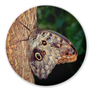 Pomo De Cerámica Cierre de mariposa de búho marrón