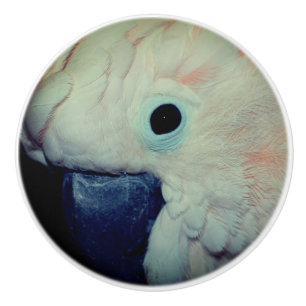 Pomo De Cerámica Cierre del loro de Cockatoo Moluccan rosa 