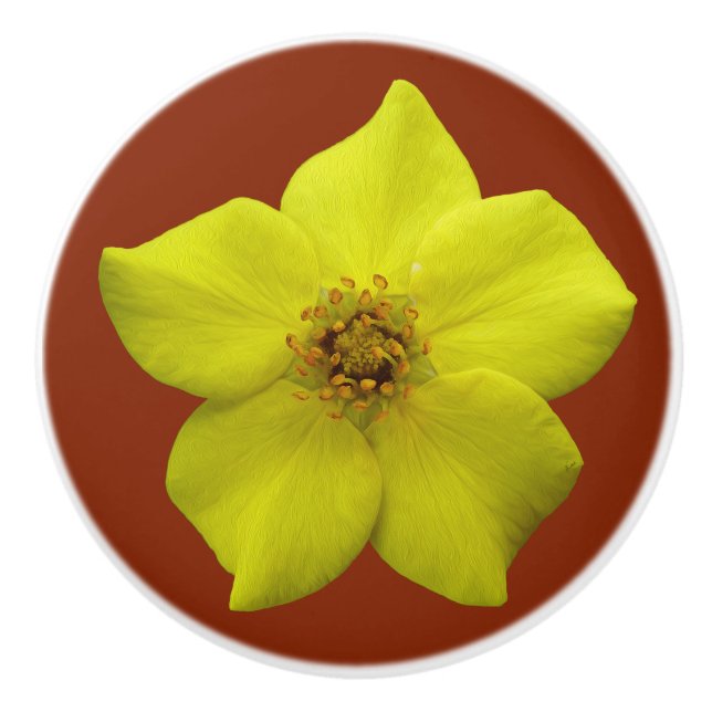 Pomo De Cerámica Cinquefoil arbustivo #1 (Anverso)