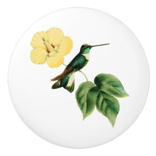 Pomo De Cerámica Colibrí agarrado del inca