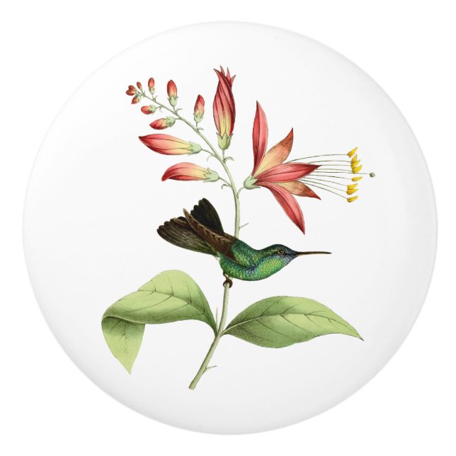 Pomo De Cerámica Colibrí atado bifurcación de la ninfa de madera (Anverso)