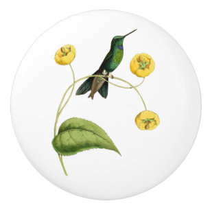 Pomo De Cerámica Colibrí brillante coronado verde