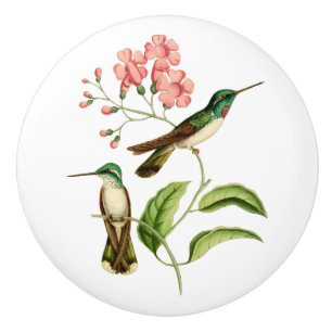 Pomo De Cerámica Colibrí hinchado blanco de la gema de la montaña