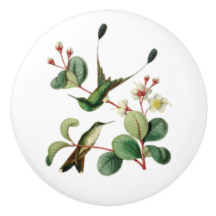 Pomo De Cerámica Colibrí pateado de la cola de la estafa