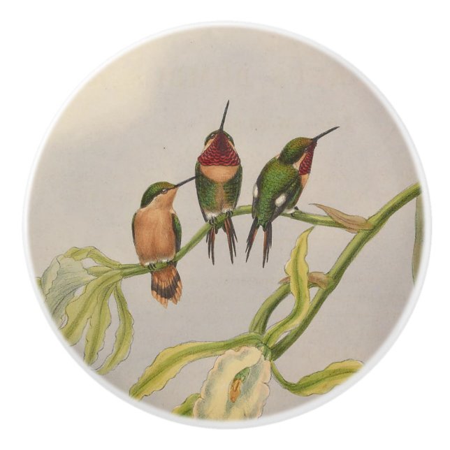 Pomo De Cerámica colibríes hermosos (Anverso)