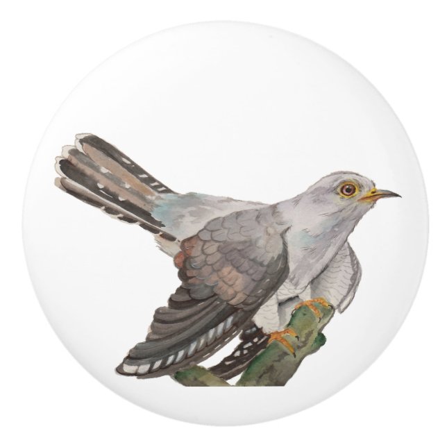 Pomo De Cerámica Colores de agua pintando un cuco (Anverso)