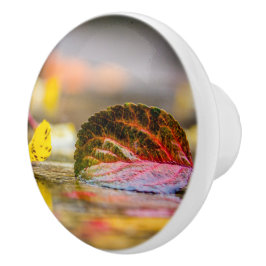 Pomo De Cerámica Colores de caída