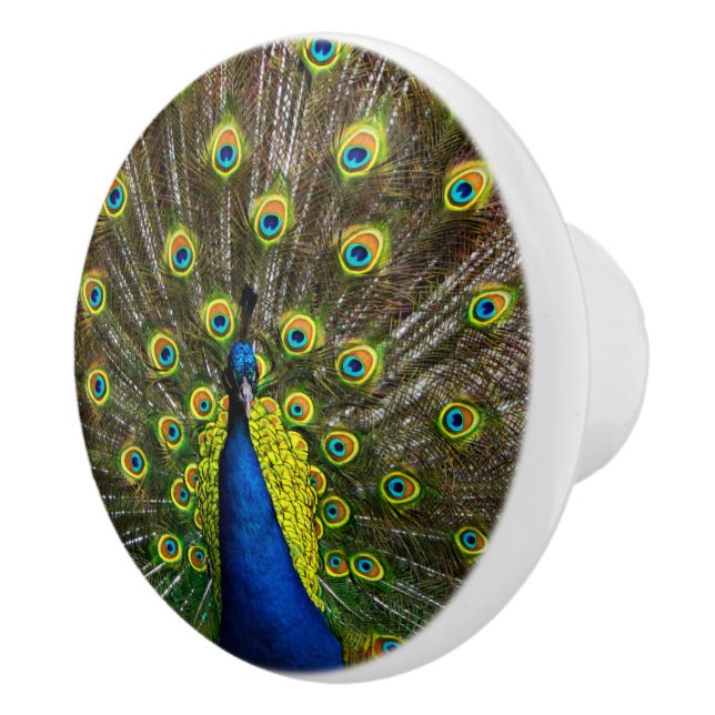 Pomo De Cerámica Colorful peacock (Derecha)