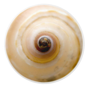 Pomo De Cerámica Concha