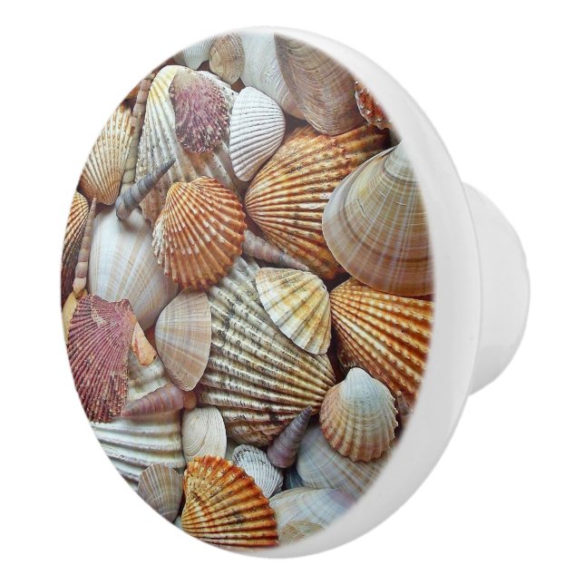Pomo De Cerámica Conchas de mar (Derecha)