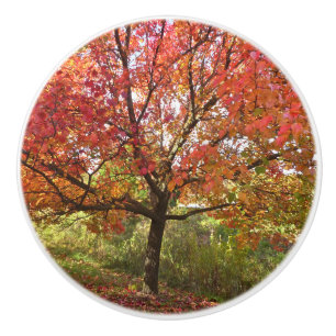 Pomo De Cerámica CONOCIMIENTO CERAMICO personalizado "AUTUMN SPLEND