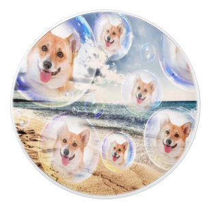 Pomo De Cerámica Corgis de la playa