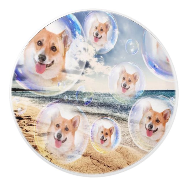 Pomo De Cerámica Corgis de la playa (Anverso)