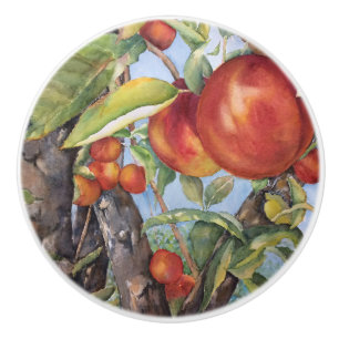Pomo De Cerámica Cosecha de frutas de cáscara de árbol de color a