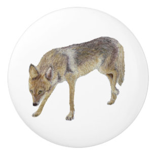 Pomo De Cerámica Coyote