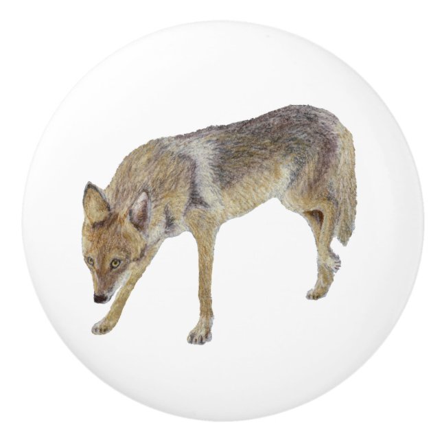 Pomo De Cerámica Coyote (Anverso)