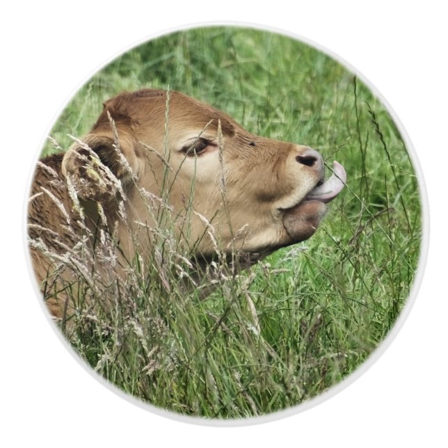 POMO DE CERÁMICA CUADRAR VACA (Anverso)