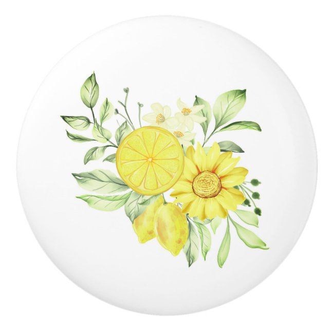 Pomo De Cerámica Cubierta cerámica para el gabinete de cerámica (Anverso)