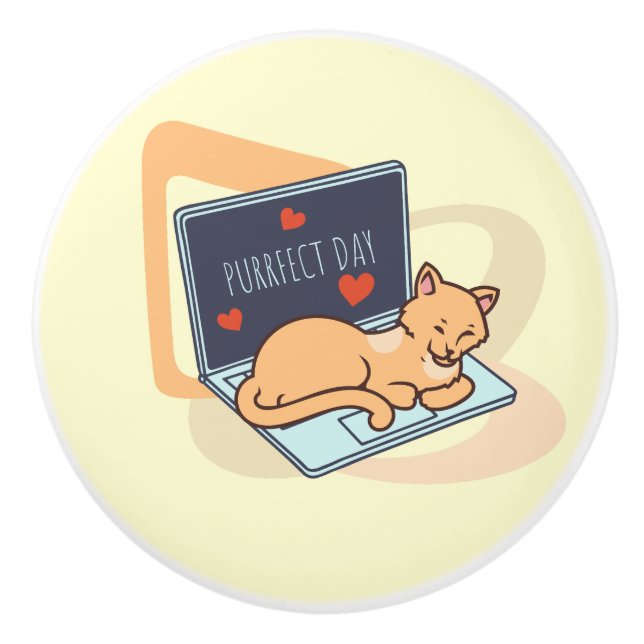 Pomo De Cerámica Cuidado gato de ordenador durmiendo (Anverso)