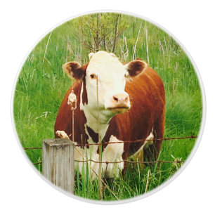 Pomo De Cerámica Cute Brown Cow 4Jojo